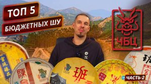 Рейтинг бюджетных Шу от ЧБЦ | 2 часть