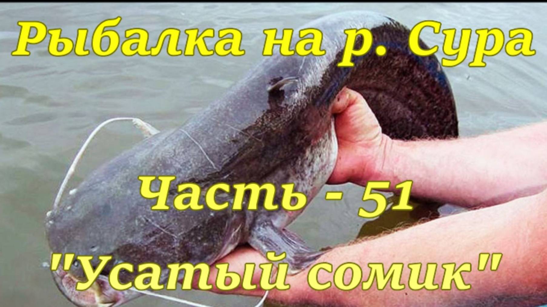 Рыбалка на р. Сура. Часть - 51. "Усатый сомик". смотреть онлайн