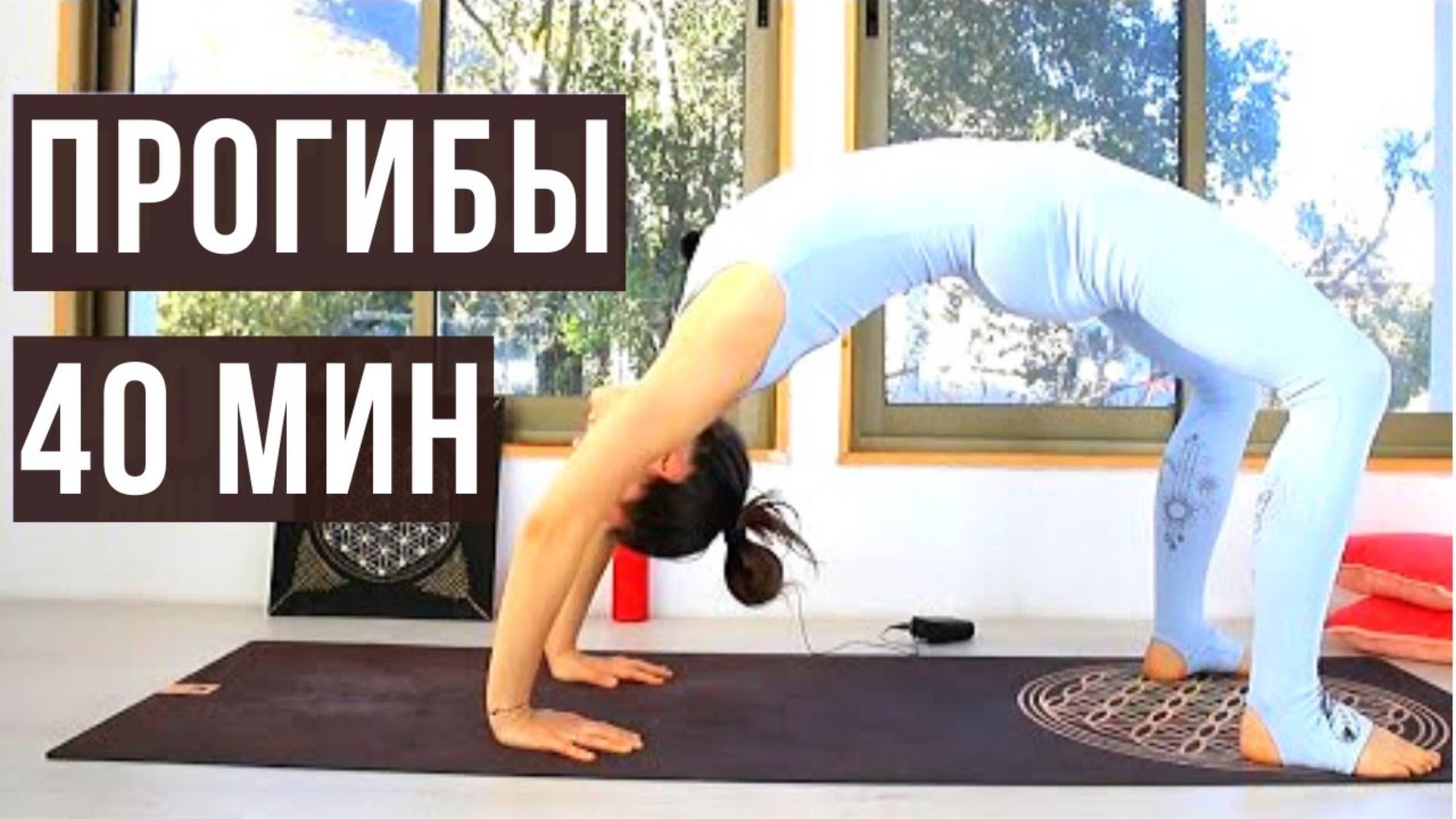 ПРОГИБЫ: ЙОГА ДЛЯ СПИНЫ — любой уровень. Виньяса Йога дома chilelavida Елена Малова