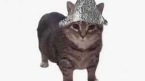 *МЕГА ЯДЕРКА* ПОСТРОИЛ ПВЗ В ЧИКЕН ГАН???!