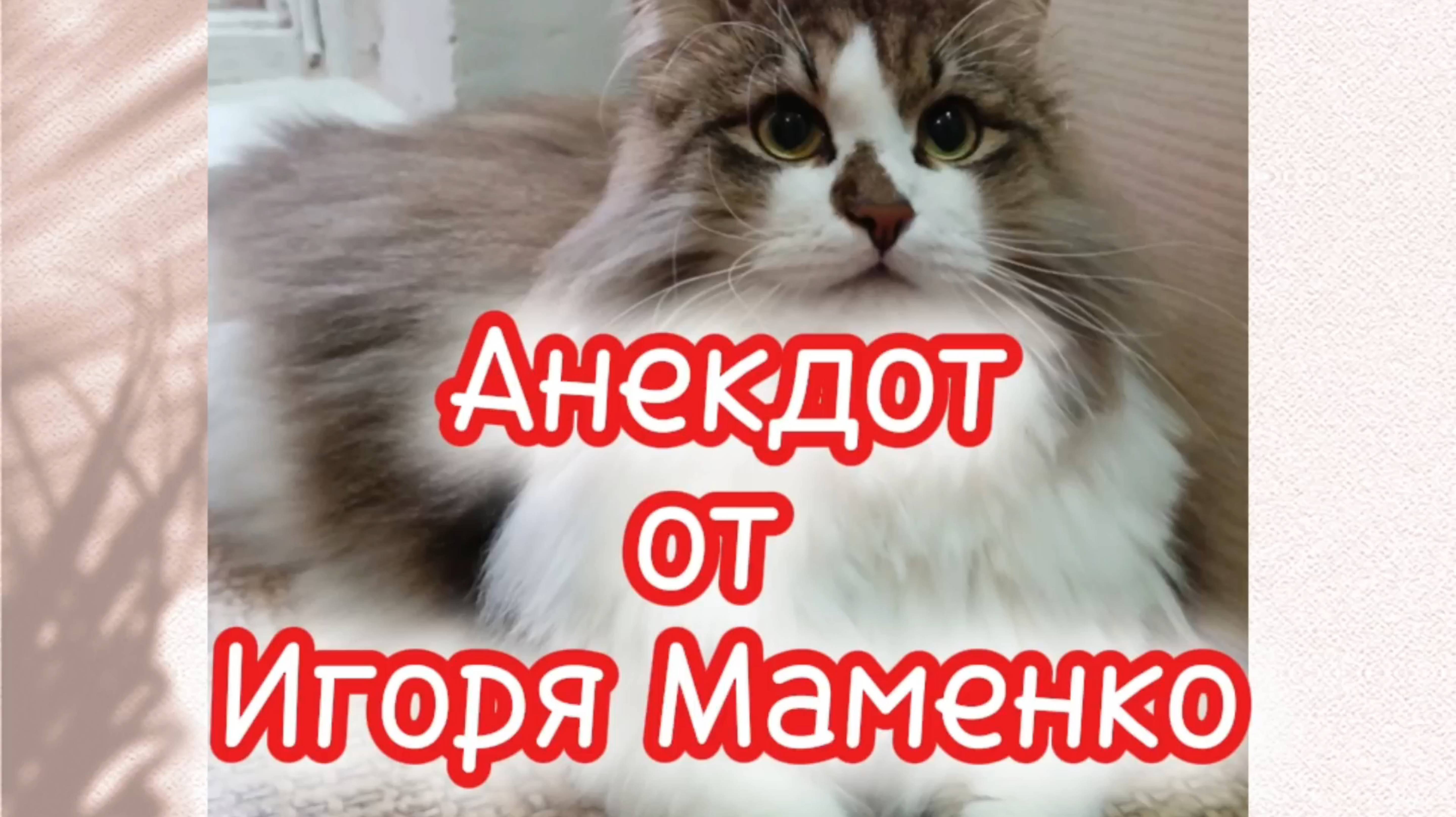 Анекдот от Игоря Маменко. смотреть онлайн