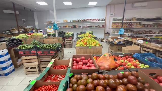 Влог с юга🐬 НУ ОЧЕНЬ БОЛЬШАЯ ЗАКУПКА❗️А ЧТО ТАМ СОБАЧКА ЖОЗЕФИНКА ДЕЛАЕТ? #лазаревское