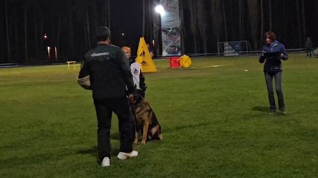 2 место 79 баллов (0 20 20 19 20) Erben Welt Stern EDGAR, Малова Елена