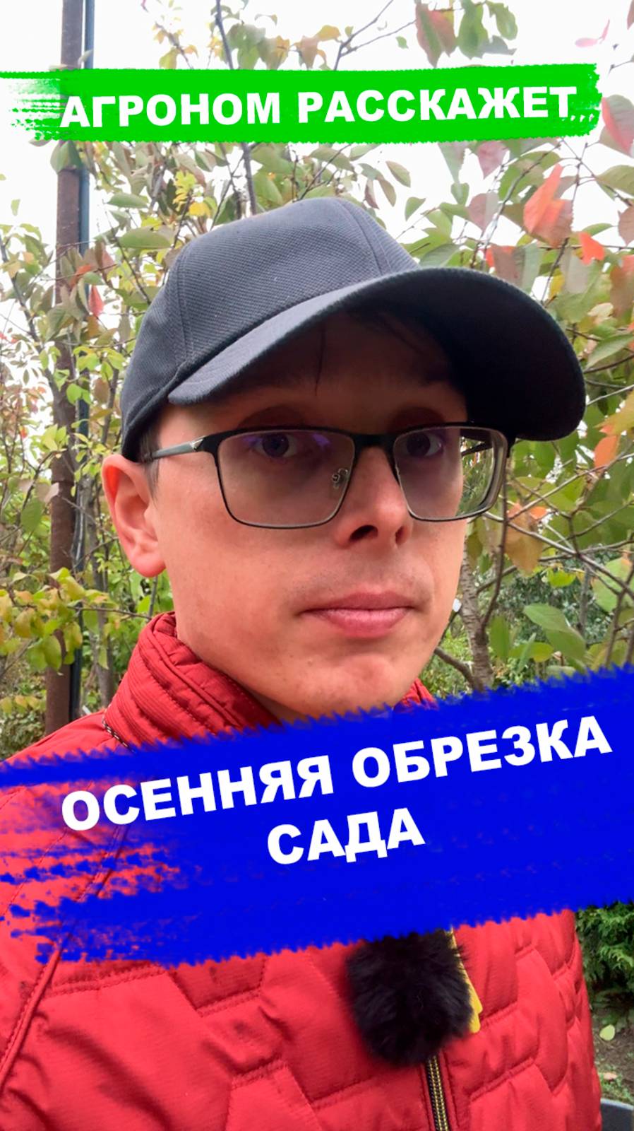 Что можно обрезать осенью в плодовом саду смотреть онлайн