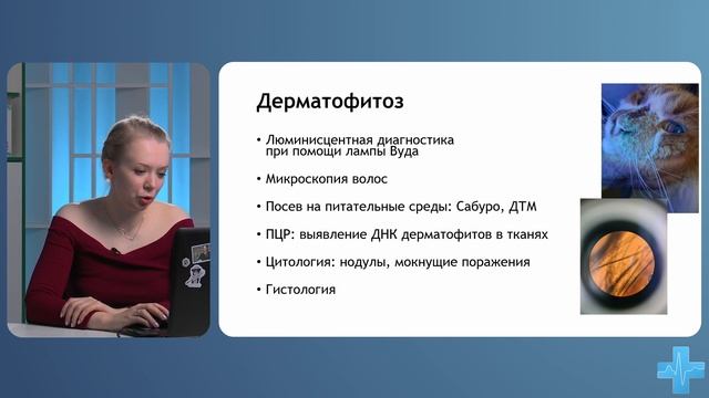 Болезни кожи у щенков и котят