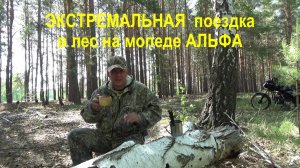 ЭКСТРЕМАЛЬНАЯ поездка в лес на мопеде АЛЬФА.