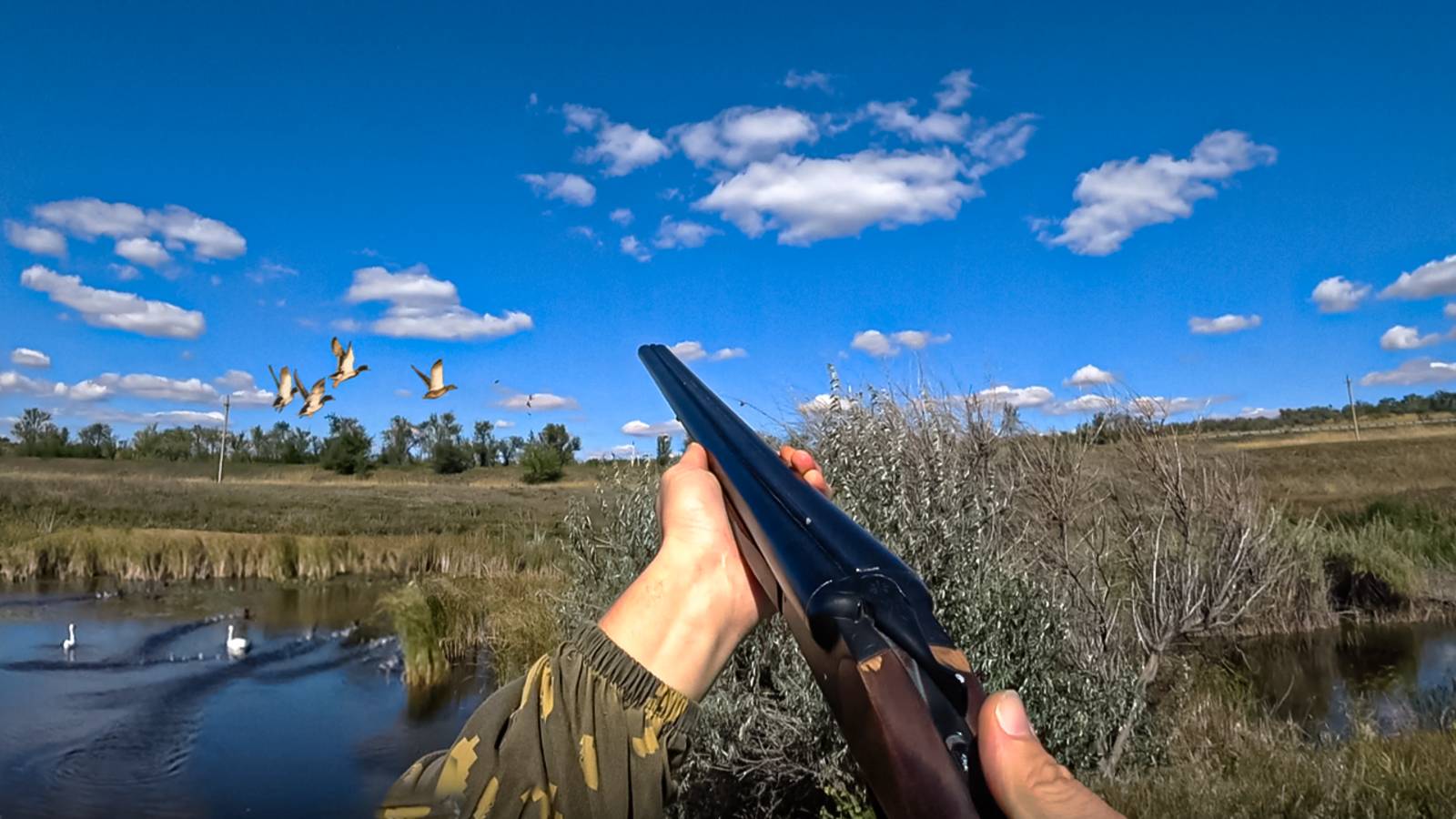 ОХОТА В СТЕПИ.НАШЕЛ КУКУРУЗУ.ПРИСТРЕЛЯЛ КАРАБИН