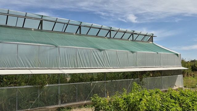 НЕ ХОЧЕТСЯ...НО НАДО... смотреть онлайн