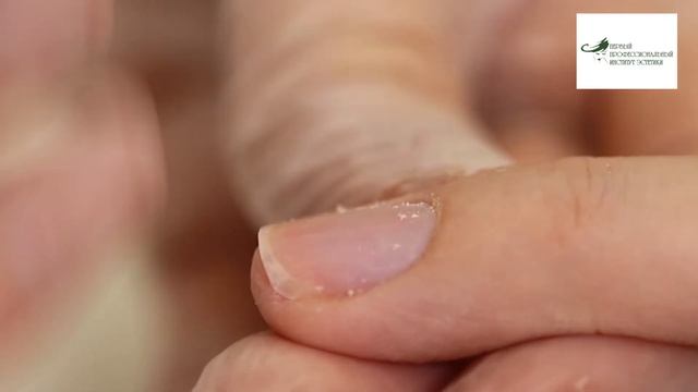 Маникюр классический обрезной смотреть онлайн