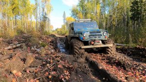 Живу в избе на сух пайках)) Бито-недобитое место, в лесу по старой УЖД.