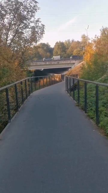 На велосипеде на работу до Медведкова каждое утро