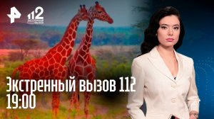 Безумный сталкер / Экзотические животные / Стая собак / Экстренный вызов 112