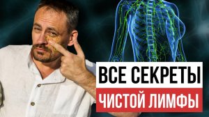 Лимфатическая система и как её очищать | Основы крепкого иммунитета и красоты