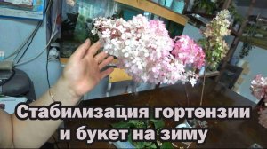 Раствор для стабилизации гортензии