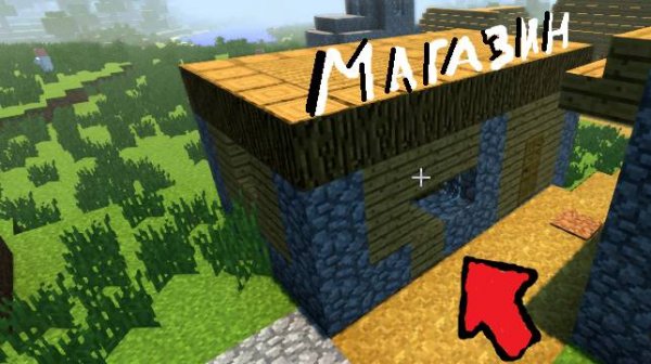 ИЗ МОЕГО ДОМА СДЕЛАЛИ МАГАЗИН