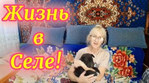 18-09.Покупки и обновки.Я снова с помидорами!Что на ужин.Бакс.