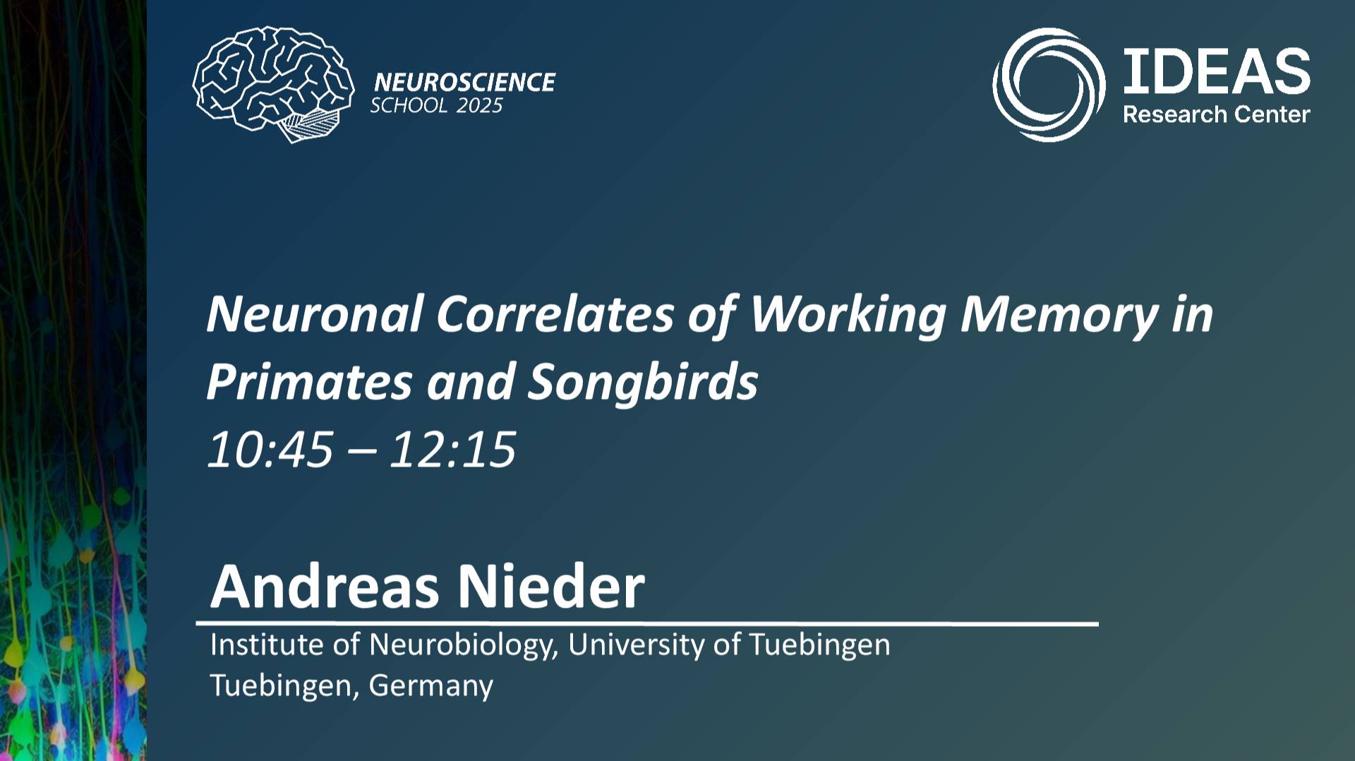 Neuronal Correlates of Working Memory in Primates and Songbirds