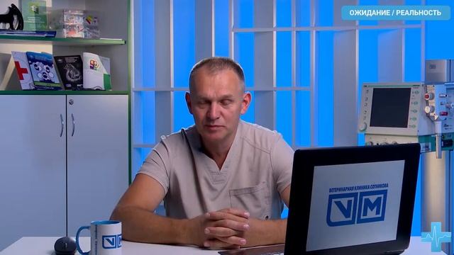 Ожидание / реальность