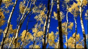 Андрей Петров - Осенний марафон