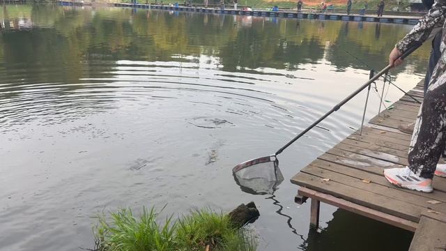 Поимка на стрейч смотреть онлайн