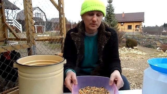 Дилетанты в саду