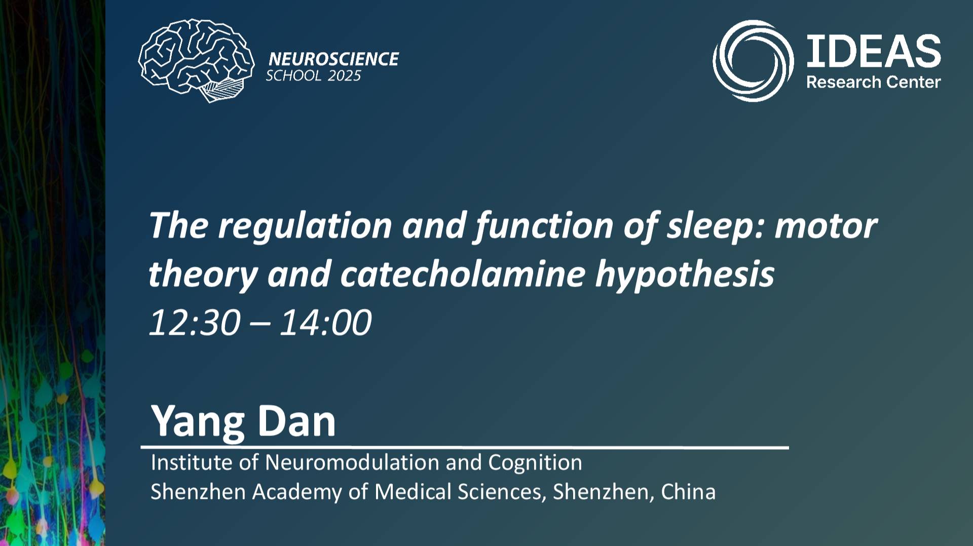 The regulation and function of sleep: motor theory and catecholamine hypothesis