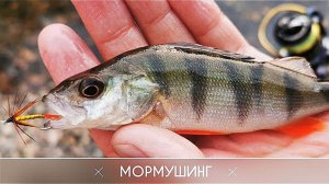 МОРМУШИНГ - КАК ЛОВИТЬ НА МУШКУ СПИННИНГОМ. река Кондома MAXIMUS STREETRACER nano jig
