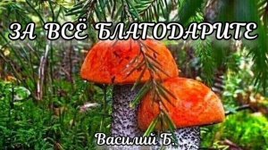 За всё благодарите ♥️ Проповедь МСЦ ЕХБ