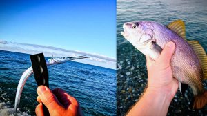 ПЕРВЫЙ ГОРБЫЛЬ | САРГАН НА ПИЛЬКЕР | РЫБАЛКА В СОЧИ