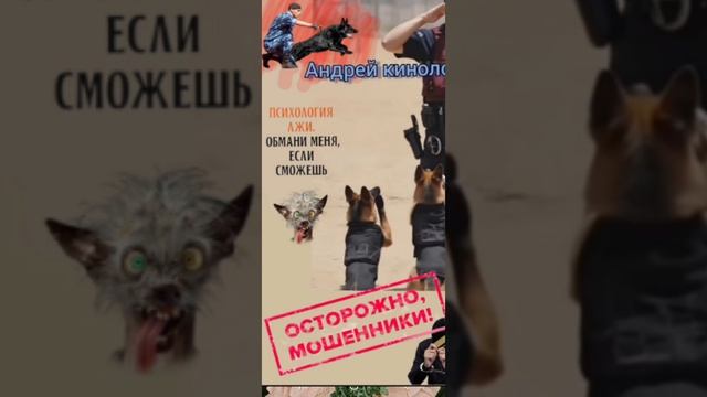 Подарки от продлевателей 404 смотреть онлайн