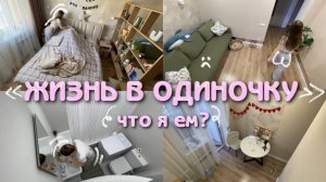 ЖИЗНЬ В ОДИНОЧКУ | Простые Рецепты Не Умея Готовить | Что Я Ем За День
