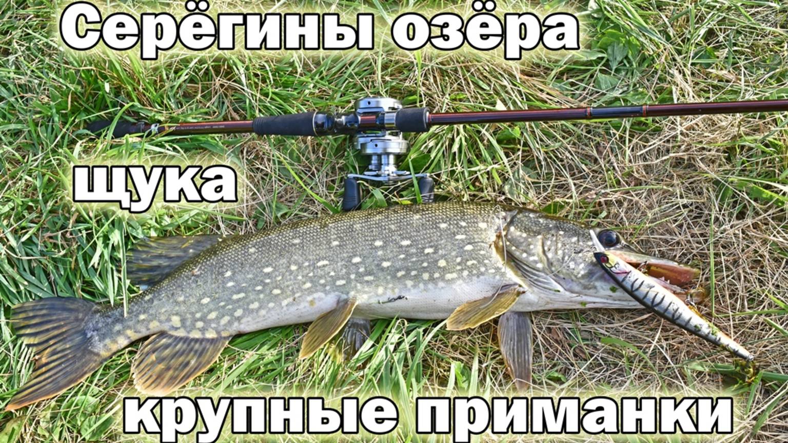 С большими приманками на любимый пруд