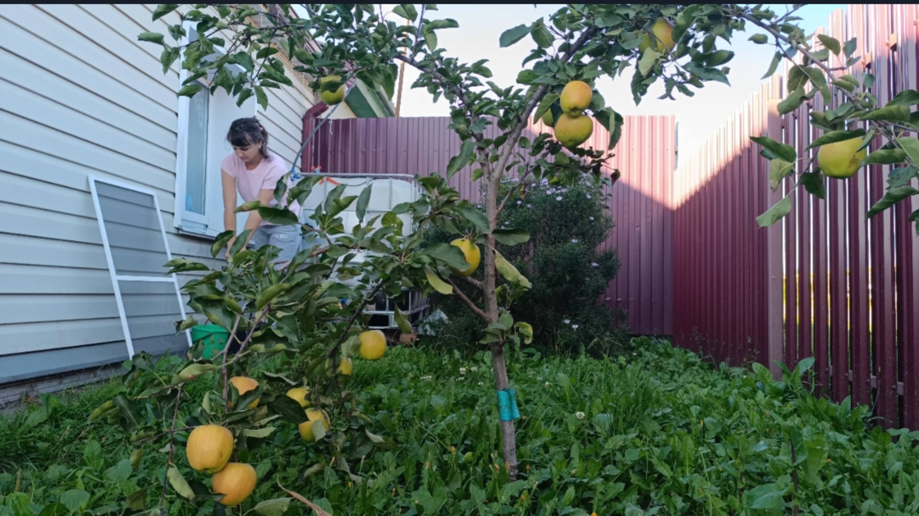 ПОДВЕЛА МУЖА, ЗАБОЛЕЛА/ПОКРАСИЛИ ПЕЧЬ/РЕМОНТ НЕ КОНЧАЕТСЯ В ДОМЕ смотреть онлайн
