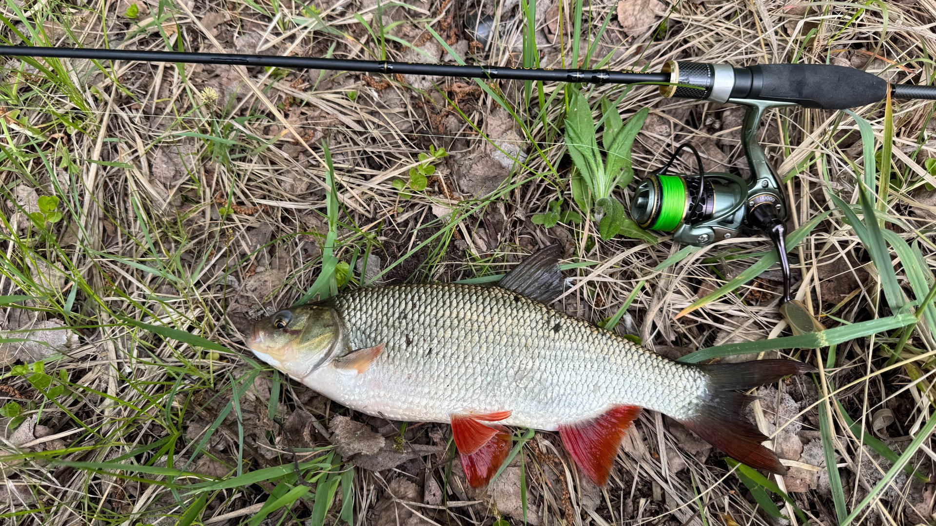 Рыбалка на спиннинг с берега. Рыбалка на блесну. Ультралайт рыбалка. Блесна.