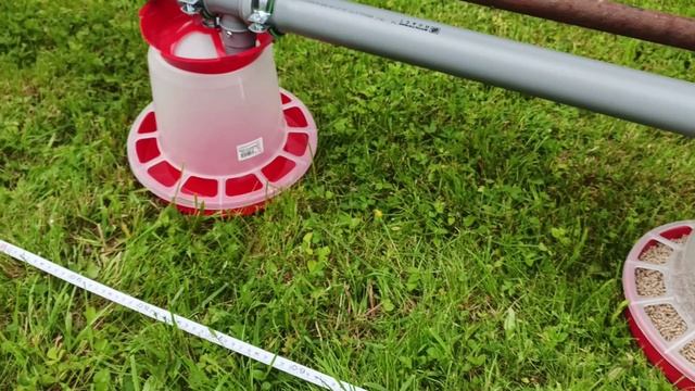 Автоматическая кормушка для кур / автоматизированная линия кормления смотреть онлайн