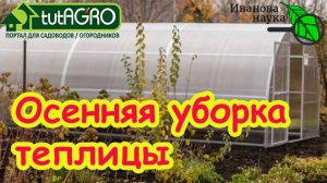 ДЕЗИНФЕКЦИЯ ПО СИДЕРАТАМ: чистка теплицы без серы и ядов. Эта комбинация быстро прогонит все плохое!