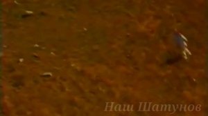 7.09.2025г.состоялся полет на вертолёте, посвящённый Памяти наших Легенд 🚁🙏❤️😪