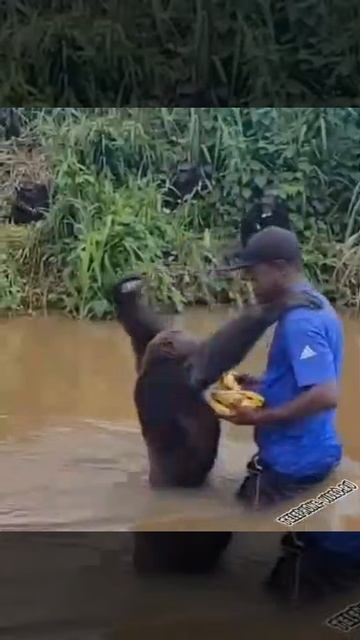 Подкармливает друга