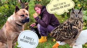 Тырим яблоки и красивые виды у соседей, учим Пса Кубика плохому. Дегустация яблока с дикой яблони