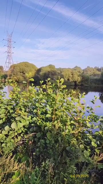 Измайловский парк 14.09.2025