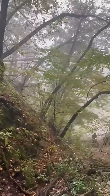 Эндуристы грязи и дождя не бояться ) смотреть онлайн