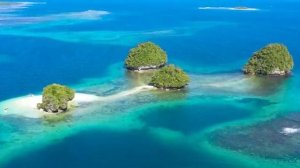 --БЛАГОДАРИ ТВОРЦА--НОВАЯ ХРИСТИАНСКАЯ ПЕСНЯ 2025