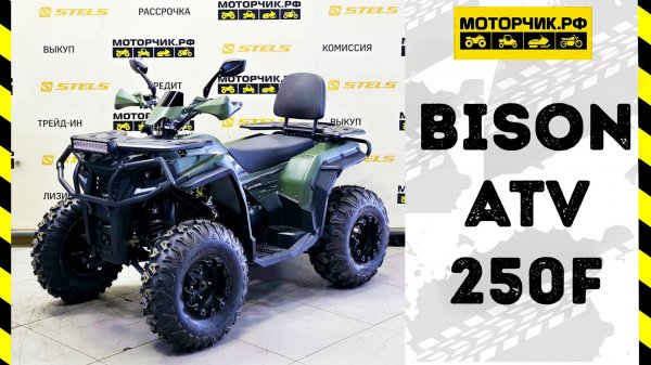 Квадроцикл Bison ATV 250F