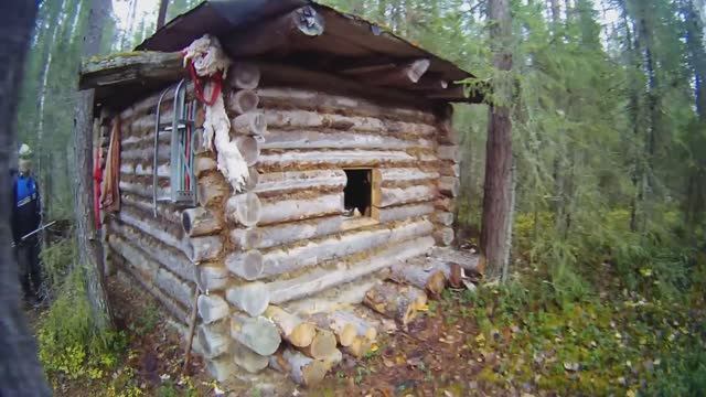 Поход в лес. Осень в тайге. - (разведка, клюква, рыба, жарим мясо, ночевка в избе) смотреть онлайн