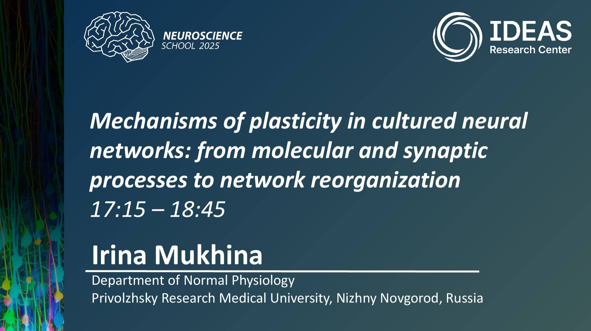 Mechanisms of plasticity in cultured neural networks