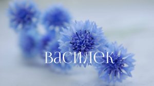 Василек мастер класс по лепке