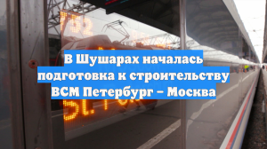 В Шушарах началась подготовка к строительству ВСМ Петербург – Москва