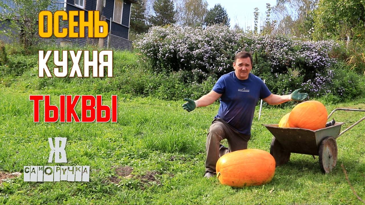 Сентябрьские хлопоты: Тыквы-гиганты, свет на кухне и война с березовыми чурбаками. ЖКВ Саморучка смотреть онлайн