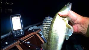 Встал на корягу и понеслась! Ловля СУДАКА в Сентябре! Рыбалка на спиннинг 2025!