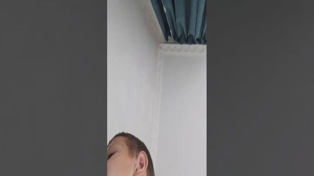 просто трансляция смотреть онлайн
